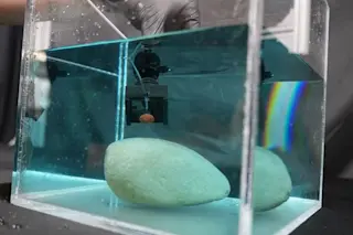 Testing octopus-inspired sucker in the lab