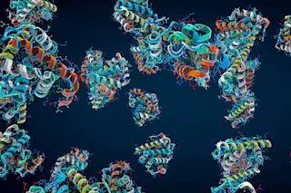 protien-molecules