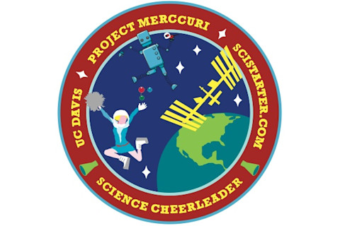 project-merccuri-patch.jpeg