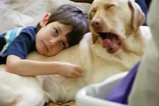 boy_dog_yawn_by_tlparadis-500x375-300x225.jpg