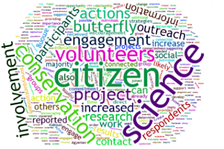wordle-300x209.png