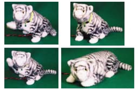 robocat.jpg