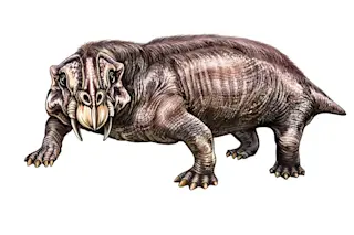 Dicynodont illustration