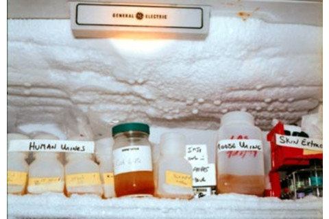 vials.jpg