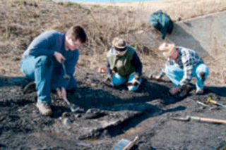 Fossil.jpg