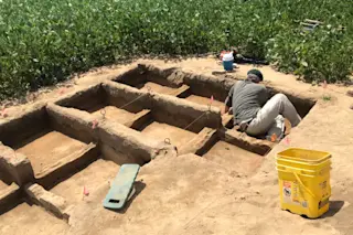 Dr. Henry Wright in Belson excavation 2021