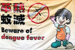 dengue-fever.jpg