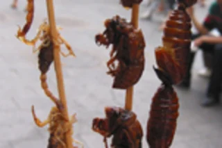 bug_kabab.jpg