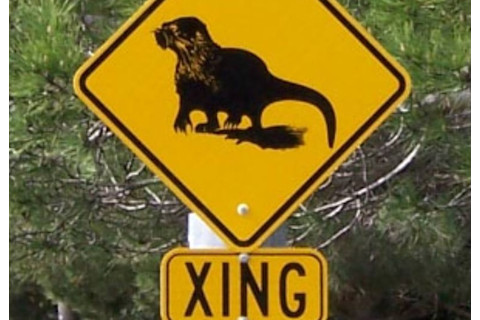 Small mammal crossing sign