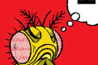 roach-cartoon180.jpg