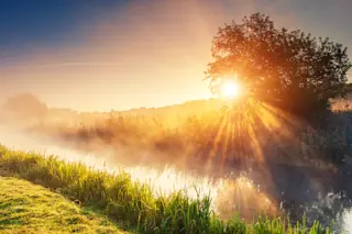 Sunshinesunraysnature