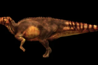 dinomummy.jpg