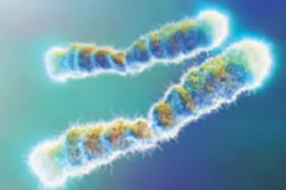 chromosomes.jpg