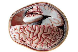 hemispheres.png