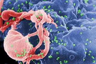 hiv.jpg