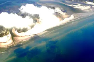 oilspill.jpg