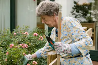 garden.jpg