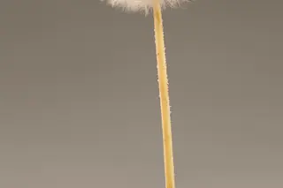 light.jpg