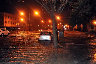 sandy.jpg