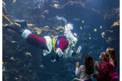 scuba-santa.jpg