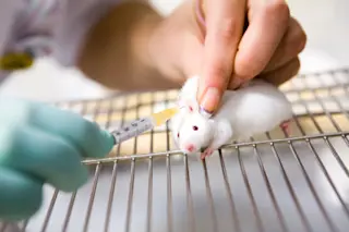 mouse-vaccine.jpg