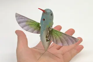 nano-hummingbird.jpg