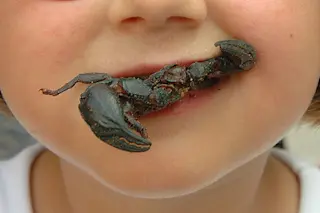 bug-bite.jpg