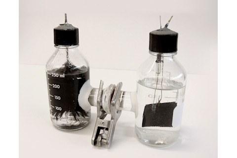 methanobacterium-palustre.jpg