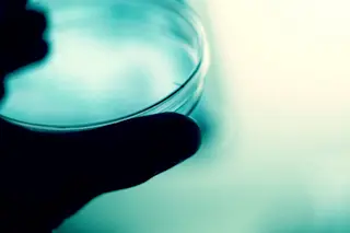 petri-dish.jpg