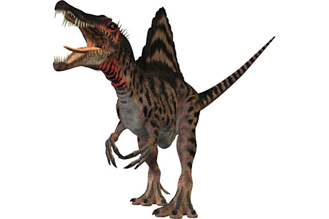 spinosaurus.jpg