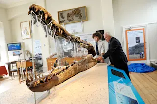 pliosaur.jpg