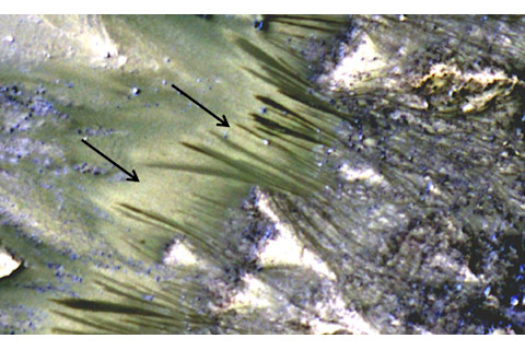 Water-on-Mars.jpg