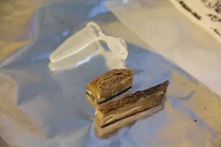 horse-bone.jpg