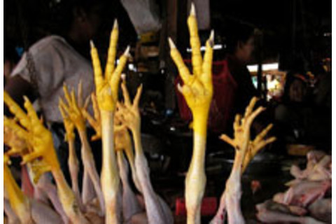 chicken-feet.jpg