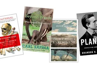 books20.jpg