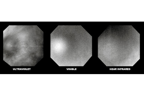 venus_glory_2.jpg