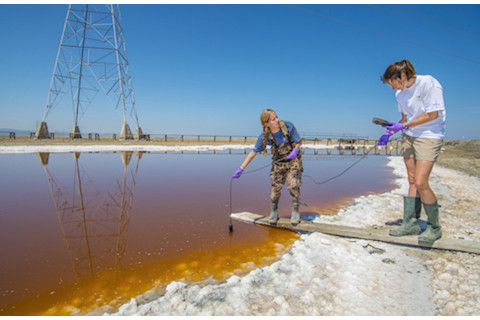 Researchers Water Sampling - Berkeley