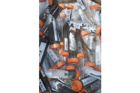 Soil Vial Samples - Doe Joint Genome Institute
