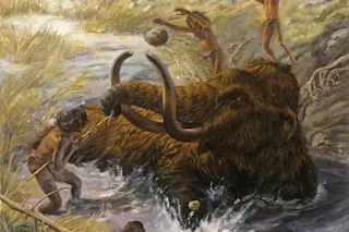 behemoths.jpg