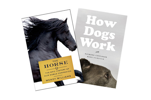 The Horse & How Dogs Work - book covers