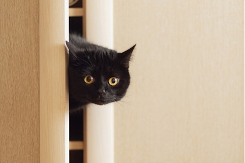 black cat with orange eyes peeking head out of door