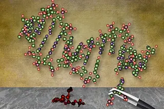 gene.jpg