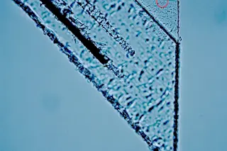 dust-particles.jpg