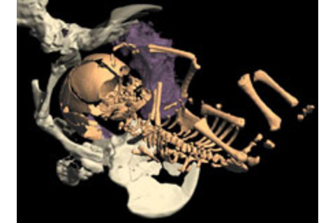 neanderthal-baby.jpg