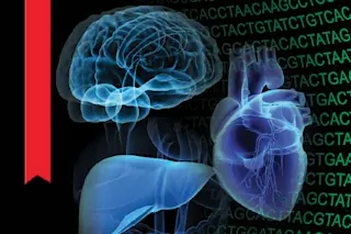 Epigenome - Dan Bishop