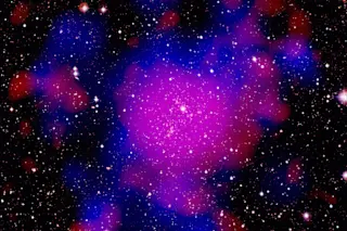 DSC-OT0416_01.jpg