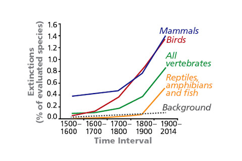 extinction-interval.jpg