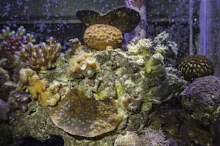 DSC-Q0816_03.jpg