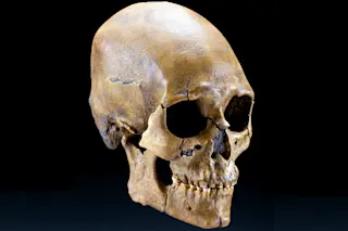 kennewick-man.jpg