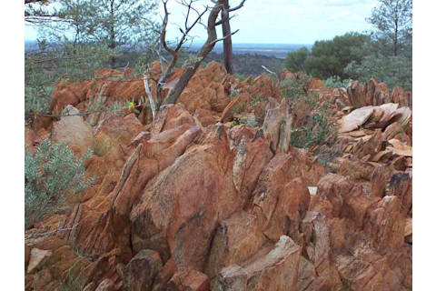 DSC-CR0816_08.jpg